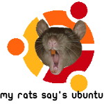 Brugeravatar